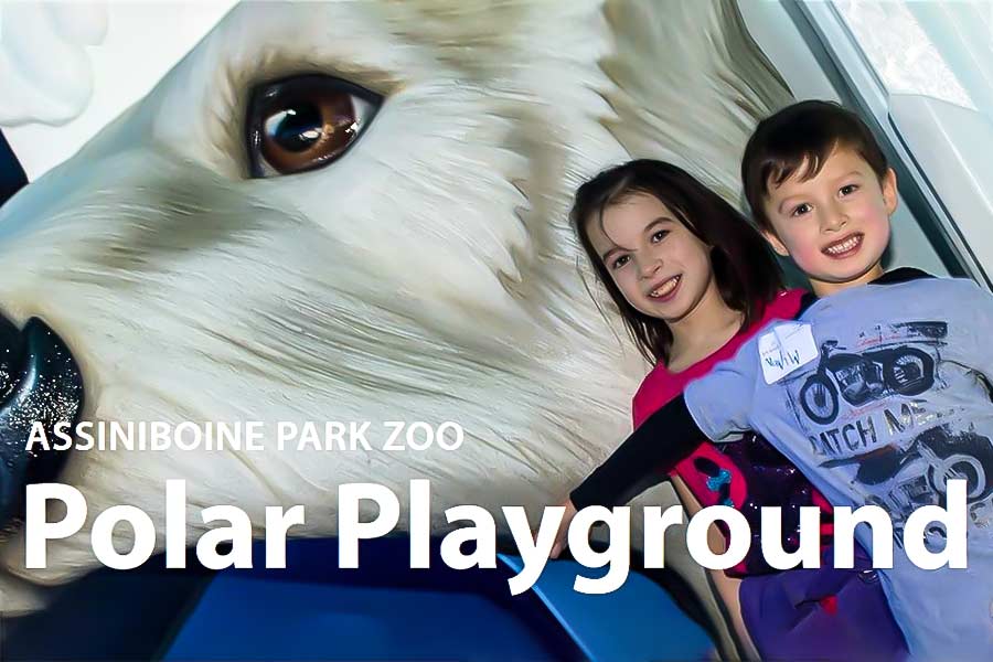 Polar Playground